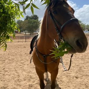 Meet your Posher, Rebecca